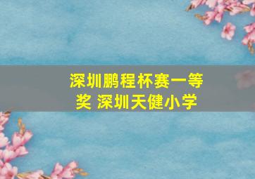 深圳鹏程杯赛一等奖 深圳天健小学